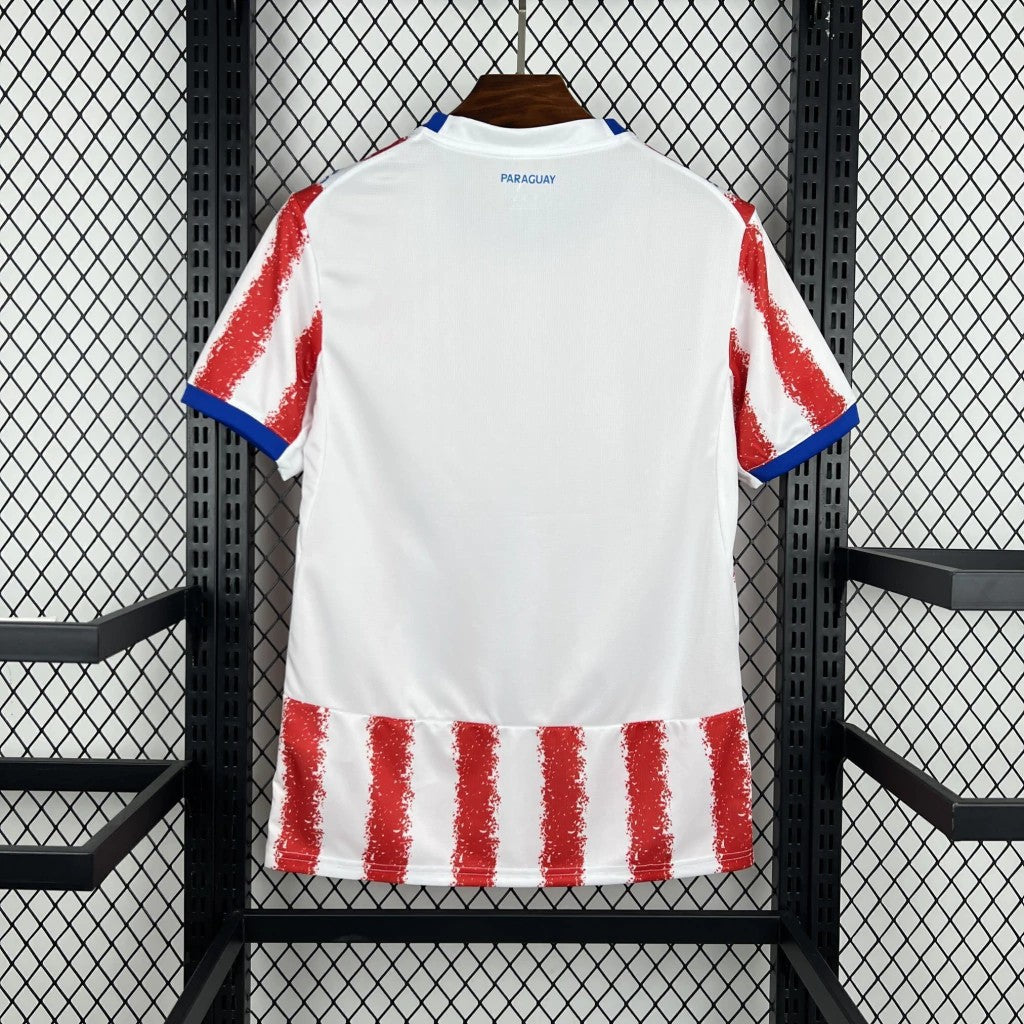 Camisa Paraguai - Home